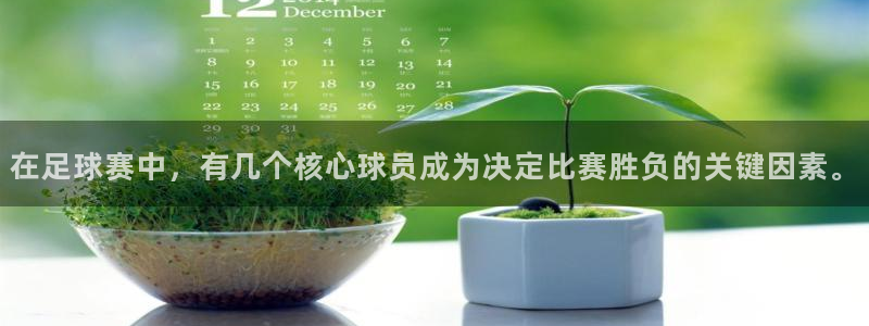 在足球赛中,有几个核心球员成为决定比赛胜负的关键因素。