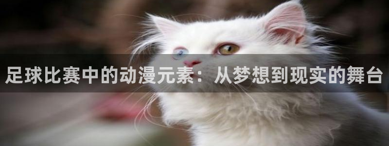 易倍emc全站:足球比赛中的动漫元素:从梦想到现实的舞台