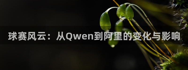 emc易倍官网登录入口:球赛风云:从Qwen到阿里的变化与影