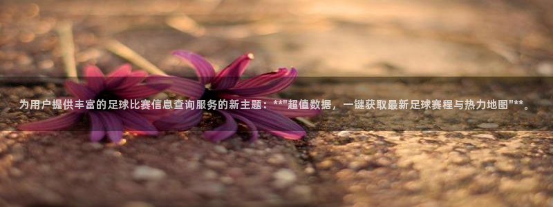 emc易倍官网app下载:为用户提供丰富的足球比赛信息查询服