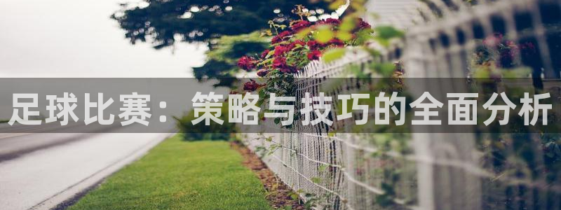 易倍emc全站:足球比赛:策略与技巧的全面分析